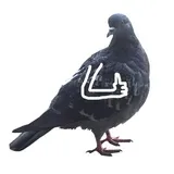 Sticker 7