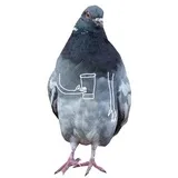 Sticker 8