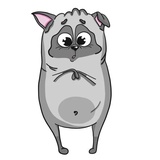 Pug Life Pack WhatsApp Sticker #10