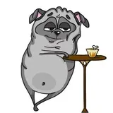 Sticker 12