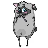 Sticker 13