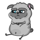 Pug Life Pack WhatsApp Sticker #16