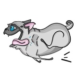Pug Life Pack WhatsApp Sticker #7