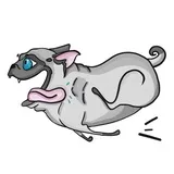 Sticker 7