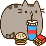 Pusheen Vol 2