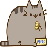 Sticker 41