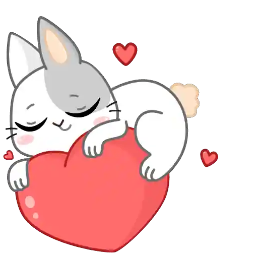 Rabbit Anim
