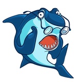 Sharks WhatsApp Sticker pack