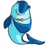 Sharks WhatsApp Sticker #13