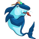 Sharks WhatsApp Sticker #15