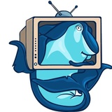 Sharks WhatsApp Sticker #16