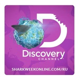 Sharks WhatsApp Sticker #21