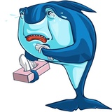 Sharks WhatsApp Sticker #5