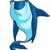 Sharks WhatsApp Sticker #8