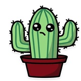 Cactus WhatsApp Sticker #5