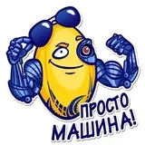 Sticker 5