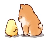 Soft and cute dog Shiba Inu WhatsApp Sticker #13