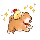 Soft and cute dog Shiba Inu WhatsApp Sticker #15