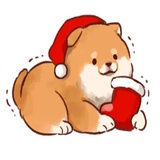 Soft and cute dog Shiba Inu WhatsApp Sticker #16