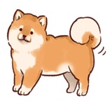 Soft and cute dog Shiba Inu WhatsApp Sticker #20