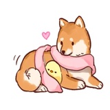 Soft and cute dog Shiba Inu WhatsApp Sticker #27