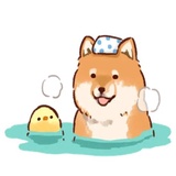 Soft and cute dog Shiba Inu WhatsApp Sticker #28