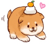 Soft and cute dog Shiba Inu WhatsApp Sticker #5