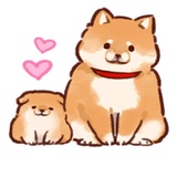 Soft and cute dog Shiba Inu WhatsApp Sticker #8