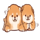 Soft and cute dog Shiba Inu WhatsApp Sticker #9