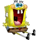 Sponge