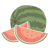 Summer Day