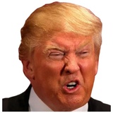 #1 WhatsApp Sticker #4