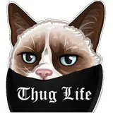 Sticker 5