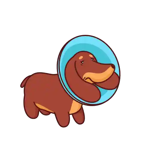 Sticker 11
