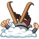 Vikings WhatsApp Sticker #15