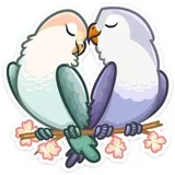 VK Love Birds