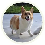 Sticker 12