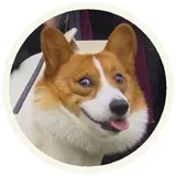 Sticker 2