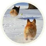 Sticker 20