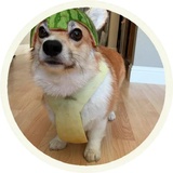 Dogs WhatsApp Sticker #21