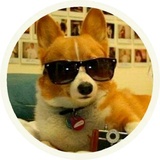 Dogs WhatsApp Sticker #22