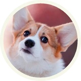 Dogs WhatsApp Sticker #26