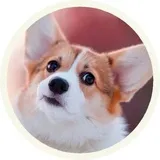 Sticker 26