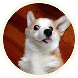 Dogs WhatsApp Sticker #27
