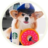 Dogs WhatsApp Sticker #29