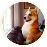 Sticker 30