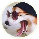 Sticker 32
