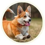 Sticker 8