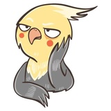 Chii Parrot WhatsApp Sticker pack