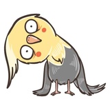 Chii Parrot WhatsApp Sticker #11
